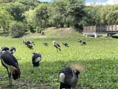 -哈尔滨北方森林动物园