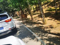 -秦皇岛野生动物园