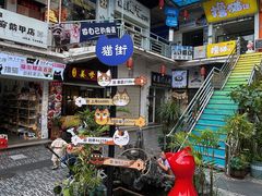 -猫咪博物馆(顶澳仔猫街店)