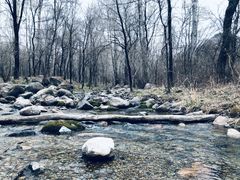 -北京龙庆四季香农家饭庄·灶台鱼·碳烤虹鳟鱼(龙庆峡店)