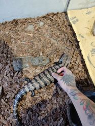 -Zoolung Zoolung动物主题公园(海信广场店)