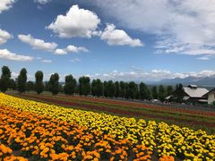 -富田农场