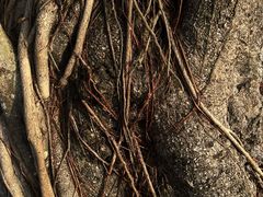 -一茶一点(海景店)