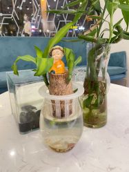 -菲·木田moontin造型salon