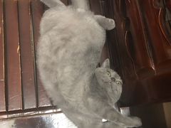 -爱诺耐芙动物医院(万博店)