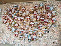 装饰墙-柴犬高等学院·狗咖·柴犬售卖·宠物训练