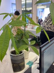 -壹加壹医疗美容·轻医美·美容外科