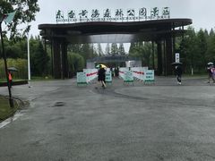 -黄海国家森林公园