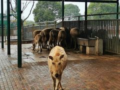 -无锡动物园·太湖欢乐园