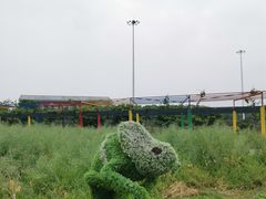 -苏州太湖西山岛开心农场