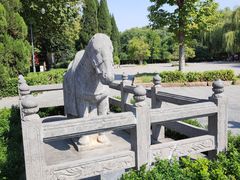 -洛阳白马寺