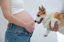 -初·印象孕妇儿童摄影馆