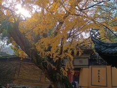 -无锡惠山寺