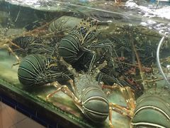 -班赞海鲜市场
