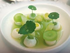 -Tomacado花厨(One ITC店)