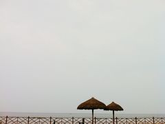 -日照海滨国家森林公园
