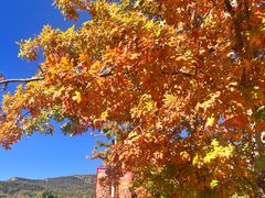 -北京西山国家森林公园