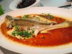 -维园悦谱·海派家常菜(乌鲁木齐南路店)