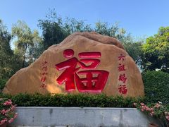 -国恩寺