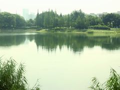 -升仙湖公园