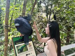 -新加坡飞禽公园
