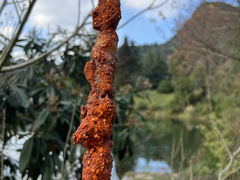-黔灵山公园