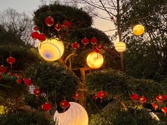 -七彩云南古滇温泉山庄