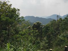 -田心森林公园