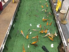 -金河半岛园林酒家(金融城店)