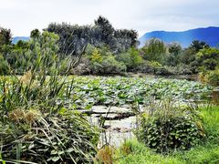 -比格比萨自助(万柳华联店)