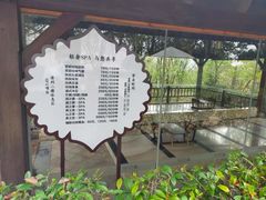 -天目湖涵田半山温泉