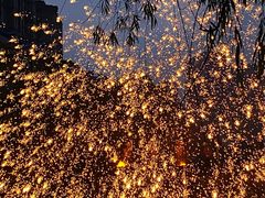 -海合安武汉极地海洋公园