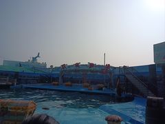-海合安青岛极地海洋公园