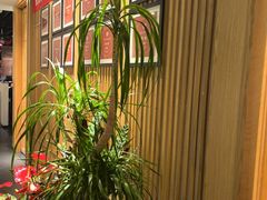 -悦融·京鲁菜·露台花园(安定门店)