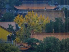 -宝通禅寺