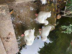 -国恩寺