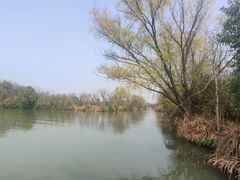 -西溪国家湿地公园