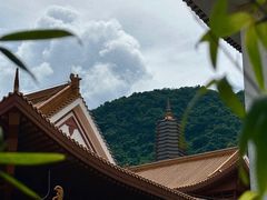 -深圳仙湖植物园
