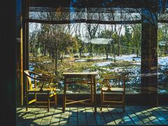 -东园小馆·早茶·淮扬小炒(宋夹城店)