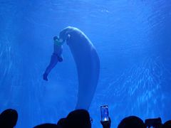 -多彩贵州城极地海洋世界