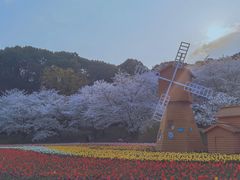 -苏州上方山国家森林公园