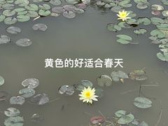 -东莞植物园