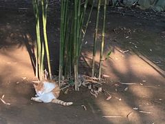 -堤角公园
