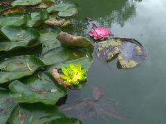 -镇江市南山风景名胜区竹林景区