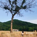 杭州滨江的麦田,在夕阳下奔跑吧