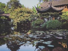 -郭庄茶室