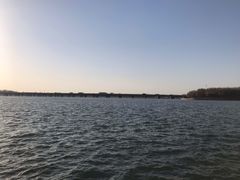 -丁香湖公园
