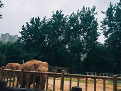 -南昌动物园