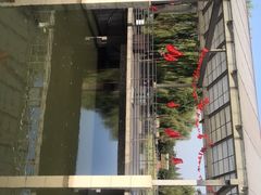 -平望服务区·停车场