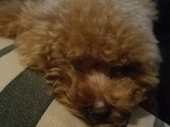 android_upload_pic-赢吧Bliss音乐酒吧